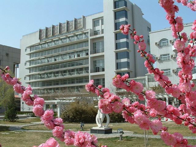 操逼逼小视频